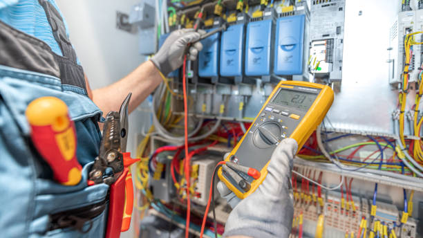 Best Electric Panel Repair  in Monte Alto, TX